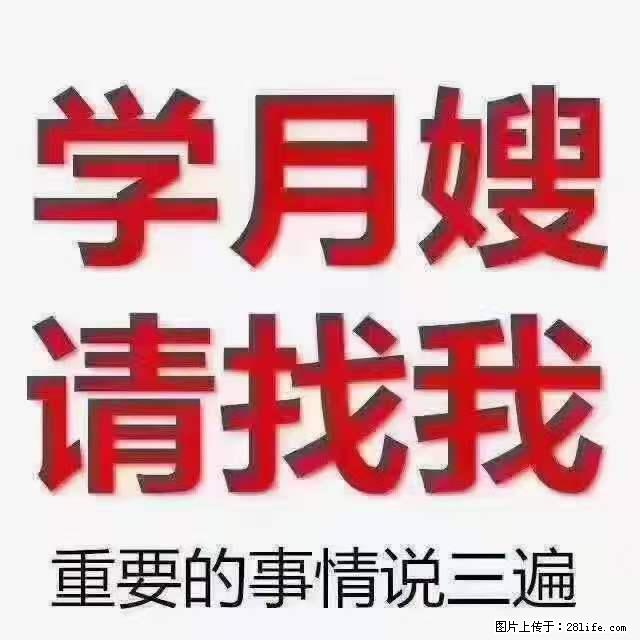 为什么要学习月嫂，育婴师？ - 新手上路 - 哈尔滨生活社区 - 哈尔滨28生活网 hrb.28life.com