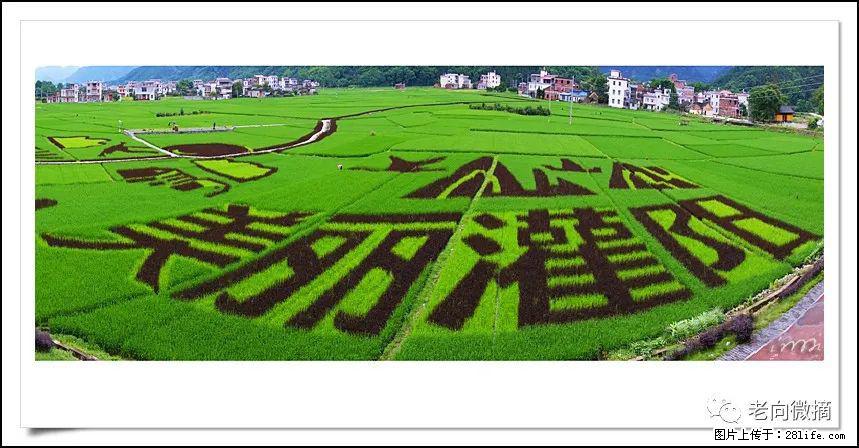 【春天，广西桂林灌阳县向您发出邀请！】开篇 - 游山玩水 - 哈尔滨生活社区 - 哈尔滨28生活网 hrb.28life.com