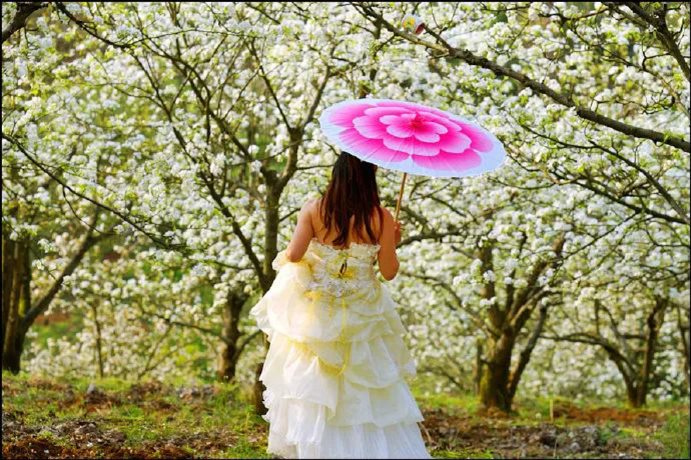 【春天,广西桂林灌阳县向您发出邀请!】我们在灌阳看梨花 - 游山玩水 - 哈尔滨生活社区 - 哈尔滨28生活网 hrb.28life.com