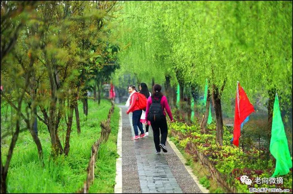 【春天，广西桂林灌阳县向您发出邀请！】江口老街又逢春 - 游山玩水 - 哈尔滨生活社区 - 哈尔滨28生活网 hrb.28life.com