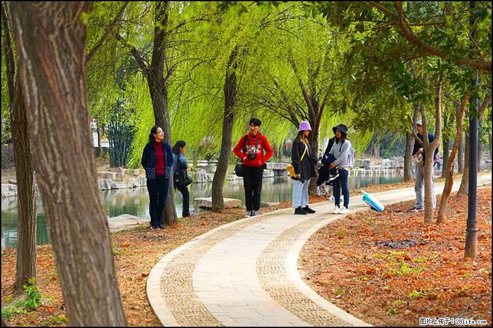 【春天，广西桂林灌阳县向您发出邀请！】江口老街又逢春 - 游山玩水 - 哈尔滨生活社区 - 哈尔滨28生活网 hrb.28life.com