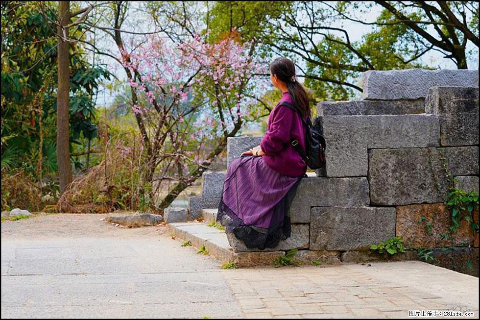 【春天，广西桂林灌阳县向您发出邀请！】江口老街又逢春 - 游山玩水 - 哈尔滨生活社区 - 哈尔滨28生活网 hrb.28life.com