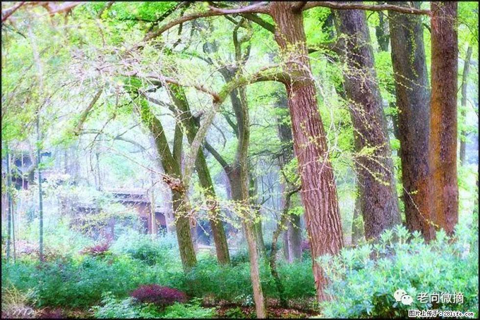 【春天，广西桂林灌阳县向您发出邀请！】在小龙村与春天约会 - 游山玩水 - 哈尔滨生活社区 - 哈尔滨28生活网 hrb.28life.com