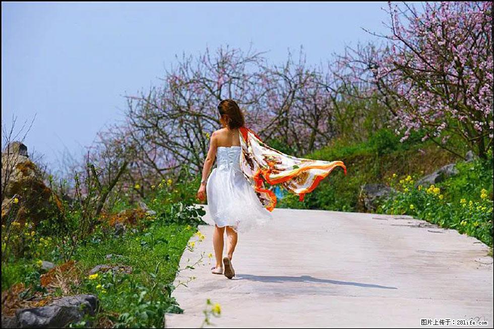 【春天，广西桂林灌阳县向您发出邀请！】望月岭上桃花开 - 游山玩水 - 哈尔滨生活社区 - 哈尔滨28生活网 hrb.28life.com