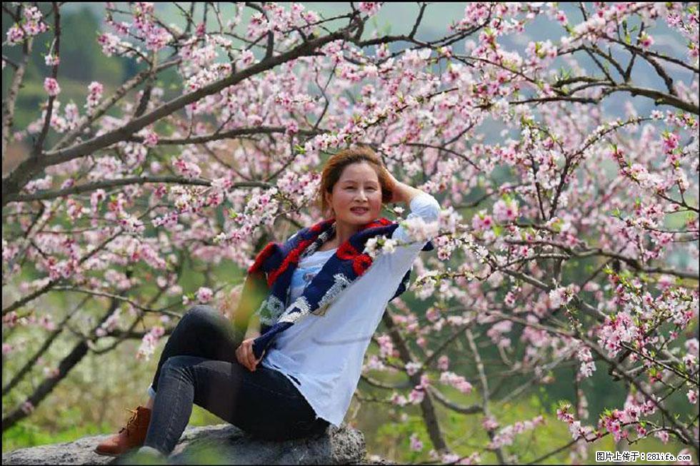 【春天，广西桂林灌阳县向您发出邀请！】望月岭上桃花开 - 游山玩水 - 哈尔滨生活社区 - 哈尔滨28生活网 hrb.28life.com