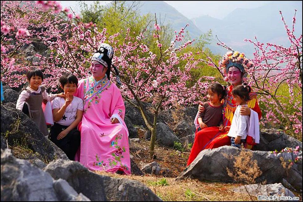 【春天，广西桂林灌阳县向您发出邀请！】望月岭上桃花开 - 游山玩水 - 哈尔滨生活社区 - 哈尔滨28生活网 hrb.28life.com