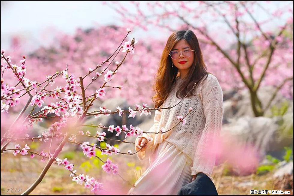 【春天，广西桂林灌阳县向您发出邀请！】望月岭上桃花开 - 游山玩水 - 哈尔滨生活社区 - 哈尔滨28生活网 hrb.28life.com