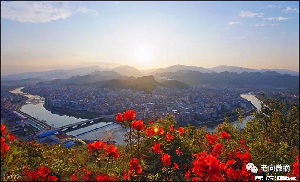 【春天，广西桂林灌阳县向您发出邀请！】登麒麟山，相约映山红 - 游山玩水 - 哈尔滨生活社区 - 哈尔滨28生活网 hrb.28life.com