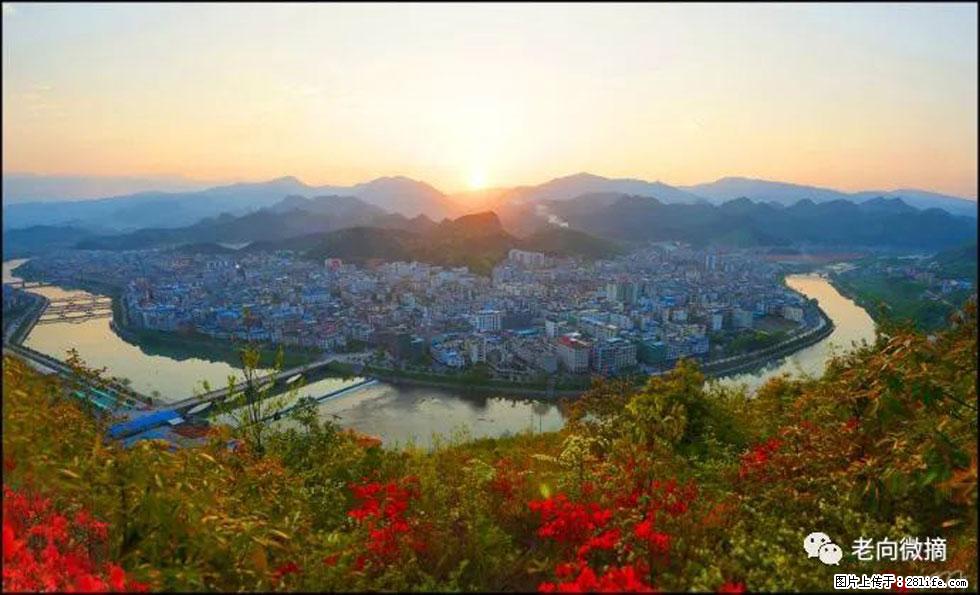 【春天，广西桂林灌阳县向您发出邀请！】登麒麟山，相约映山红 - 游山玩水 - 哈尔滨生活社区 - 哈尔滨28生活网 hrb.28life.com