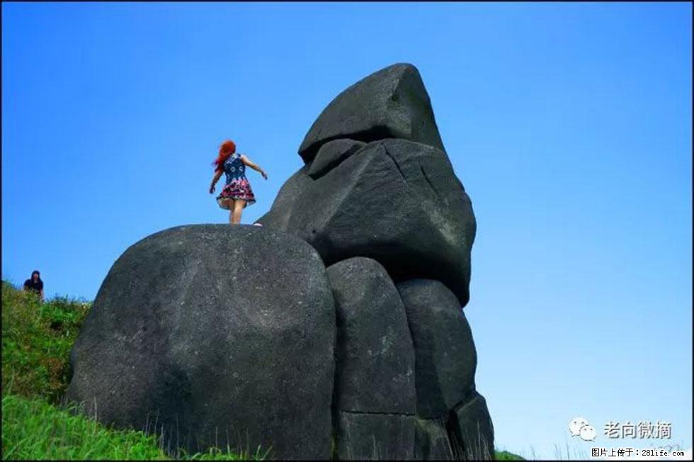 【春天，广西桂林灌阳县向您发出邀请！】宝盖山上映山红 - 游山玩水 - 哈尔滨生活社区 - 哈尔滨28生活网 hrb.28life.com