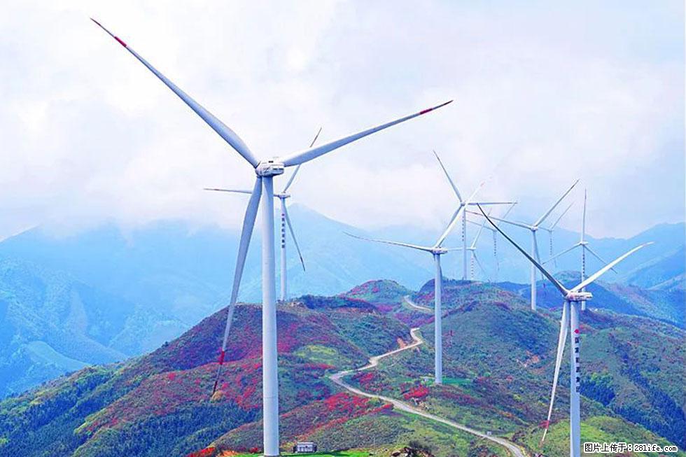 【春天，广西桂林灌阳县向您发出邀请！】春木界上映山红 - 游山玩水 - 哈尔滨生活社区 - 哈尔滨28生活网 hrb.28life.com