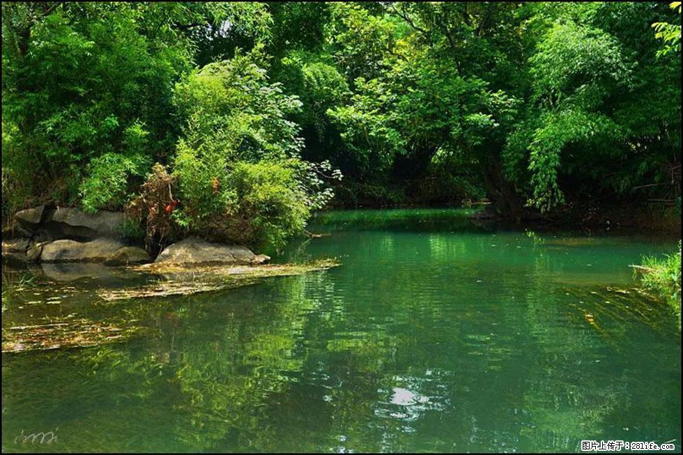 【春天，广西桂林灌阳县向您发出邀请！】如梦似幻莲溪庐 - 游山玩水 - 哈尔滨生活社区 - 哈尔滨28生活网 hrb.28life.com