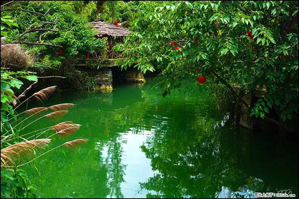 【春天，广西桂林灌阳县向您发出邀请！】如梦似幻莲溪庐 - 游山玩水 - 哈尔滨生活社区 - 哈尔滨28生活网 hrb.28life.com