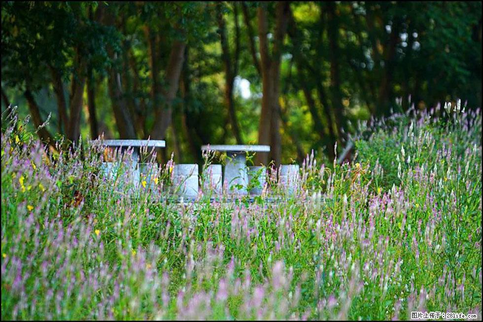 【春天,广西桂林灌阳县向您发出邀请!】熊家寨湿地公园 - 游山玩水 - 哈尔滨生活社区 - 哈尔滨28生活网 hrb.28life.com