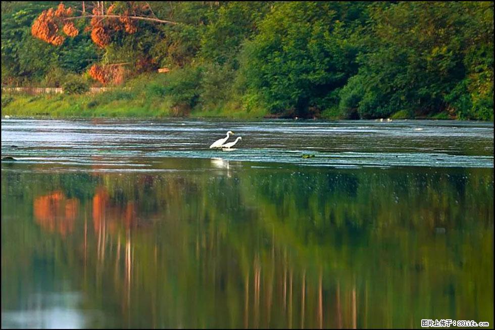 【春天,广西桂林灌阳县向您发出邀请!】熊家寨湿地公园 - 游山玩水 - 哈尔滨生活社区 - 哈尔滨28生活网 hrb.28life.com