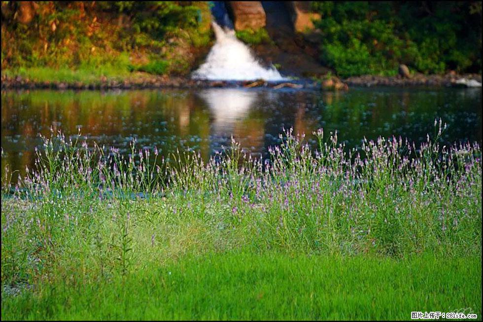 【春天,广西桂林灌阳县向您发出邀请!】熊家寨湿地公园 - 游山玩水 - 哈尔滨生活社区 - 哈尔滨28生活网 hrb.28life.com