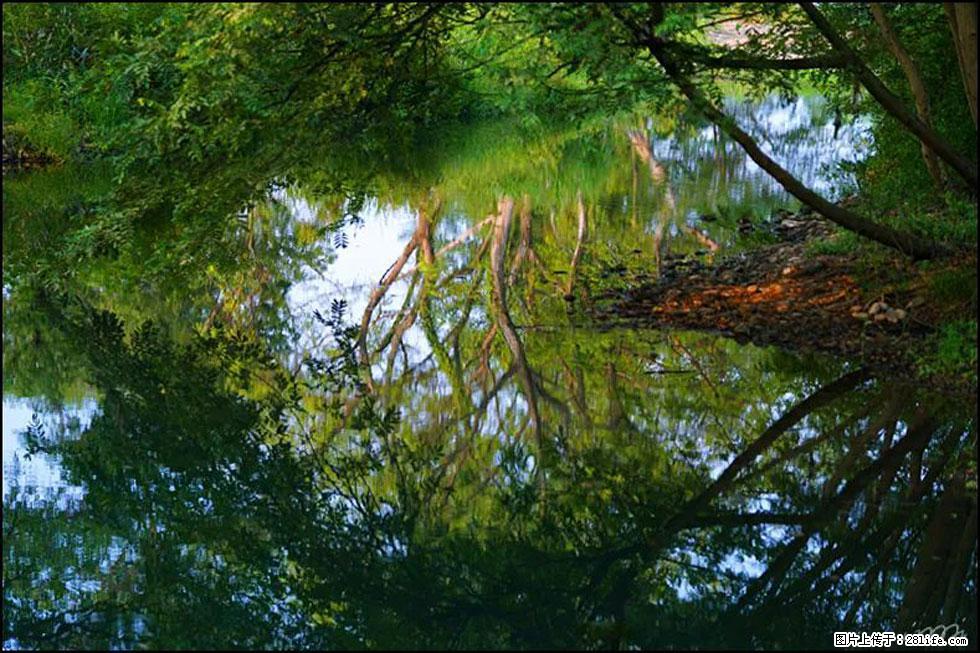 【春天,广西桂林灌阳县向您发出邀请!】熊家寨湿地公园 - 游山玩水 - 哈尔滨生活社区 - 哈尔滨28生活网 hrb.28life.com