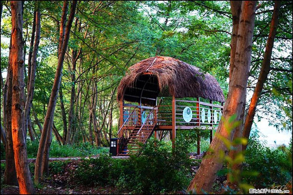 【春天,广西桂林灌阳县向您发出邀请!】熊家寨湿地公园 - 游山玩水 - 哈尔滨生活社区 - 哈尔滨28生活网 hrb.28life.com