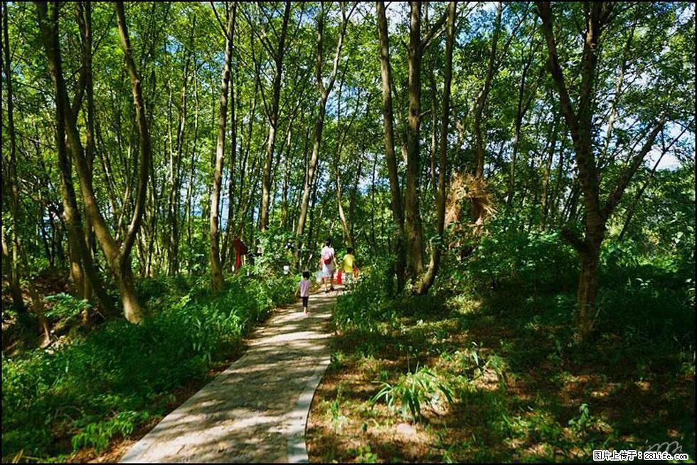 【春天,广西桂林灌阳县向您发出邀请!】熊家寨湿地公园 - 游山玩水 - 哈尔滨生活社区 - 哈尔滨28生活网 hrb.28life.com