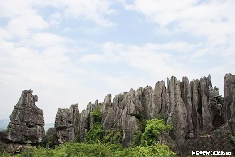 桂林旅游名城景点:灌阳文市石林 - 游山玩水 - 哈尔滨生活社区 - 哈尔滨28生活网 hrb.28life.com