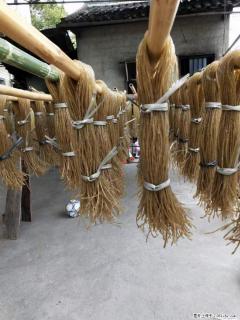 【灌阳正宗红薯粉】美女家里自己做的，干净卫生，假一赔十，价格合理，抢购电话：13737312895 - 哈尔滨28生活网 hrb.28life.com