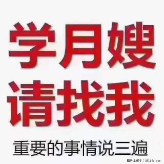 为什么要学习月嫂，育婴师？ - 哈尔滨28生活网 hrb.28life.com
