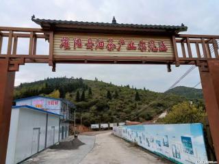 【灌阳县油茶产业示范区】一个有着充实的精神生活的人，对待身外之物自会有一种淡泊的态度 - 哈尔滨28生活网 hrb.28life.com