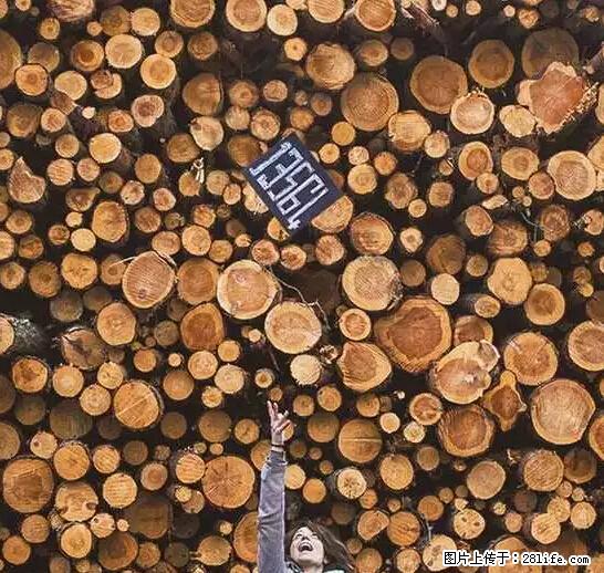 辞掉工作周游世界？现在他们在洗厕所…… - 游山玩水 - 哈尔滨生活社区 - 哈尔滨28生活网 hrb.28life.com