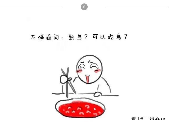 千万不要和这9种哈卵一起吃火锅! - 美食天地 - 哈尔滨生活社区 - 哈尔滨28生活网 hrb.28life.com