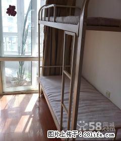 (单间出租)顾乡顾乡清河湾小 温馨如家 采光好 精品男女床 - 哈尔滨28生活网 hrb.28life.com