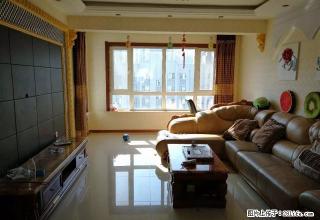 海富锦园 精装修 拎包住 离三中近 随时看房 - 哈尔滨28生活网 hrb.28life.com