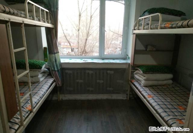 (单间出租)新开道台府对面男寝,能洗澡包水电网,提供行李月 ,无中介费 - 房屋出租 - 房屋租售 - 哈尔滨分类信息 - 哈尔滨28生活网 hrb.28life.com