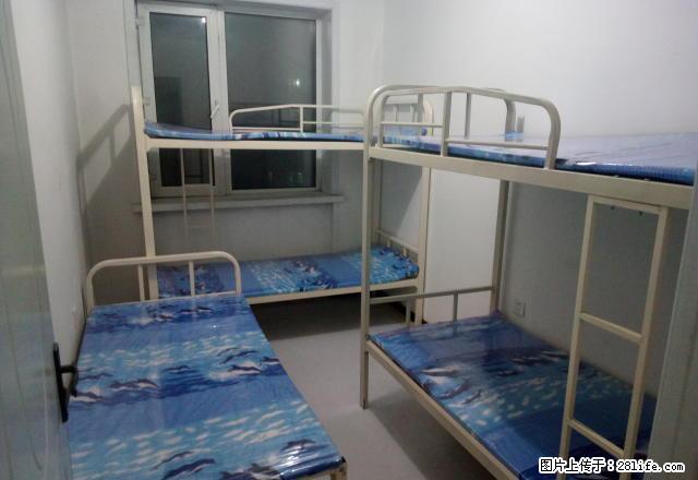 (单间出租)房东租男床!能洗澡!和兴商厦后面无押金!住3个月第4个月半价 - 房屋出租 - 房屋租售 - 哈尔滨分类信息 - 哈尔滨28生活网 hrb.28life.com