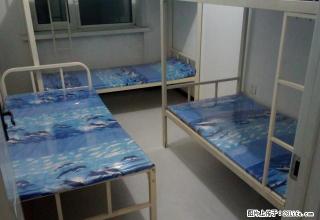 (单间出租)房东出租~男床能洗热水澡！和兴商厦后面高层！水电网免费无押金 - 哈尔滨28生活网 hrb.28life.com