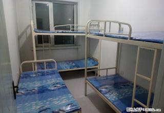 (单间出租)房东租男床！能洗澡！和兴商厦后面无押金！住3个月第4个月半价 - 哈尔滨28生活网 hrb.28life.com