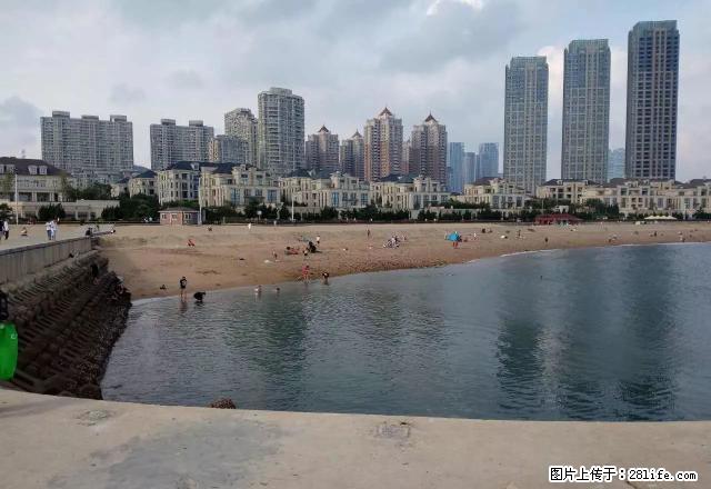 付三建国北二哈药路60米两室一厅5/8中装1100元/月 - 房屋出租 - 房屋租售 - 哈尔滨分类信息 - 哈尔滨28生活网 hrb.28life.com