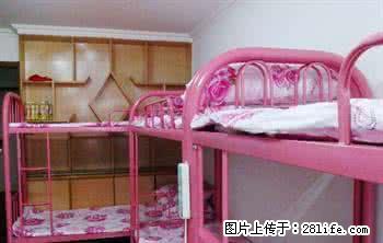 (单间出租)中央大街出租男生女生宿舍平铺 地理位置好 周边商圈便利 - 房屋出租 - 房屋租售 - 哈尔滨分类信息 - 哈尔滨28生活网 hrb.28life.com