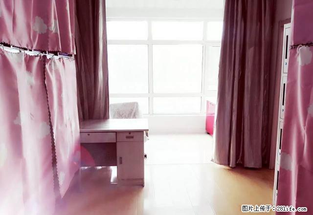 (单间出租)无中介,月付,电梯房,包水电网,全天热水,专人管理 - 房屋出租 - 房屋租售 - 哈尔滨分类信息 - 哈尔滨28生活网 hrb.28life.com