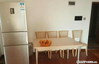 豪华装修 家电齐全 拎包即住 全新装修 随时看房 - 哈尔滨28生活网 hrb.28life.com