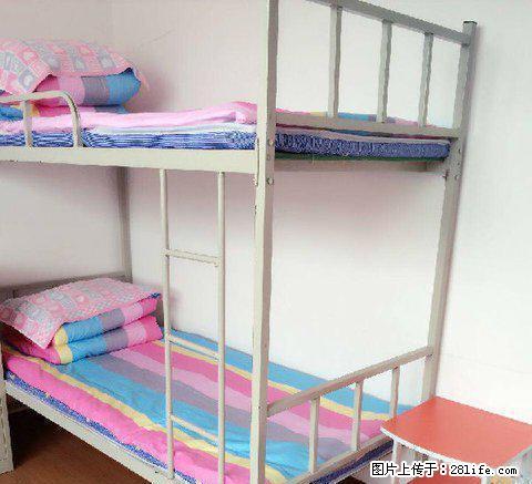 (单间出租)租女生个人会展中心 红博中央公园家乐福艺汇家 - 房屋出租 - 房屋租售 - 哈尔滨分类信息 - 哈尔滨28生活网 hrb.28life.com