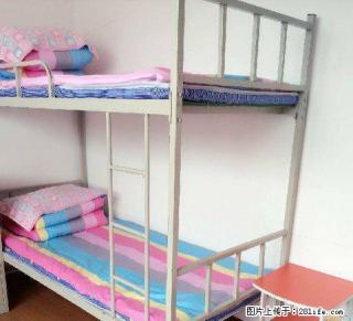 (单间出租)租女生个人会展中心 红博中央公园家乐福艺汇家 - 哈尔滨28生活网 hrb.28life.com