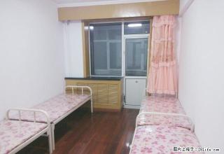 (单间出租)单床租女生平铺 艺汇家会展中心红博家乐福 - 哈尔滨28生活网 hrb.28life.com