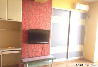 丰光江景 1室1厅 35平米 精装修 押一付一 - 哈尔滨28生活网 hrb.28life.com