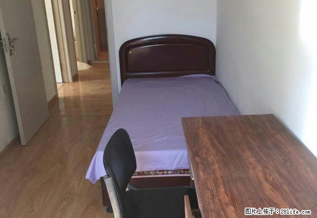 (单间出租)600特价,有窗户,不能做饭,房东直接出租 - 房屋出租 - 房屋租售 - 哈尔滨分类信息 - 哈尔滨28生活网 hrb.28life.com