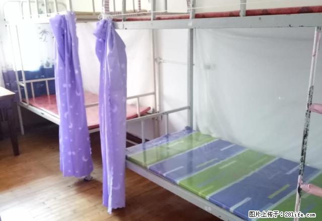 (单间出租)新阳路3楼房主出租女生包水电网专人收拾卫生 - 房屋出租 - 房屋租售 - 哈尔滨分类信息 - 哈尔滨28生活网 hrb.28life.com