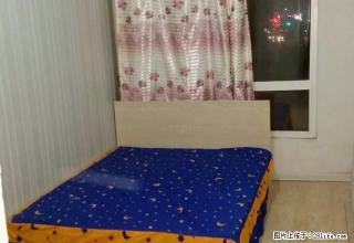 (单间出租)短租可月付地铁新房保证冬天不会冷 - 哈尔滨28生活网 hrb.28life.com