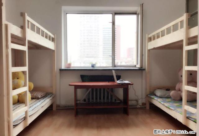 (单间出租)高档男生宿舍,设施齐全,透龙对面金太阳石头道街另有女生宿舍。 - 房屋出租 - 房屋租售 - 哈尔滨分类信息 - 哈尔滨28生活网 hrb.28life.com