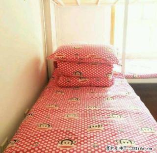 (单间出租)秋林寝室 干净卫生专人打扫仅限女士 热水wifi 欢迎来电 - 哈尔滨28生活网 hrb.28life.com