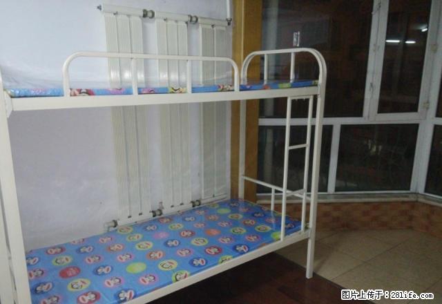 (单间出租)个人租女生 乐松广场 幸福路家乐福万达松雷 - 房屋出租 - 房屋租售 - 哈尔滨分类信息 - 哈尔滨28生活网 hrb.28life.com