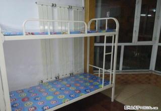 (单间出租)个人租女生 乐松广场 幸福路家乐福万达松雷 - 哈尔滨28生活网 hrb.28life.com